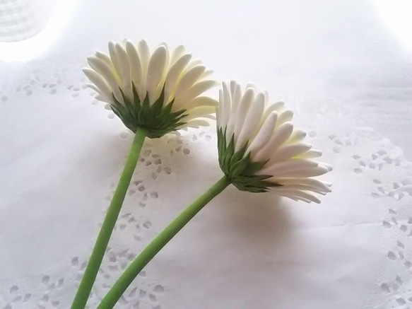 《定制》 ❁2 件套粘土花非洲菊，黑色芯和米白色內花，花瓶用 ❁ 第7張的照片