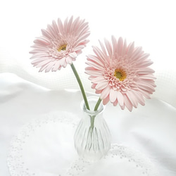 《Made-to-Order》❁粉紅色粘土花非洲菊2件套・室內天然花・花瓶用❁ 第6張的照片