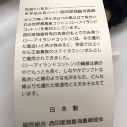 海島綿　高級　透け素材　水玉　特価　一着分 9枚目の画像