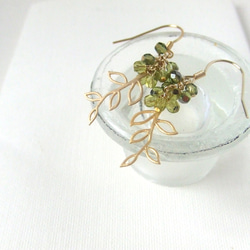 Fresh green leaves earrings 2枚目の画像