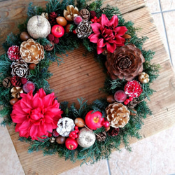 2日以内発送】来年も飾れる♡27cmの本物のヒムロスギとたっぷりの