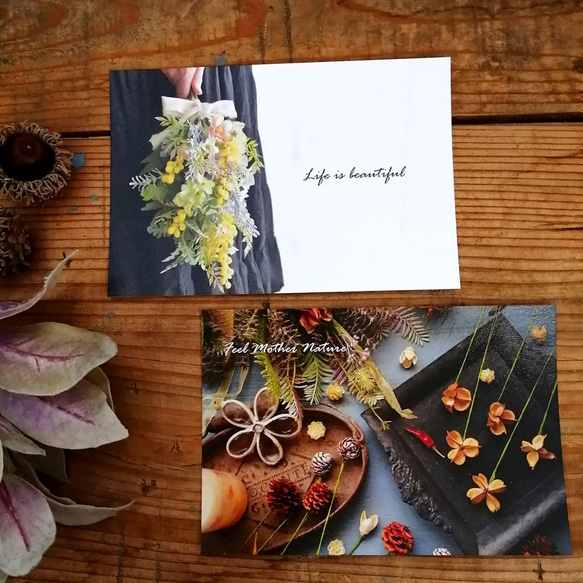 【お花と木の実のポストカード】4枚セット 2枚目の画像