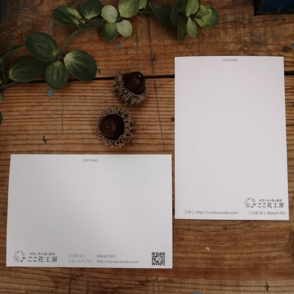 【お花と木の実のポストカード】4枚セット 4枚目の画像
