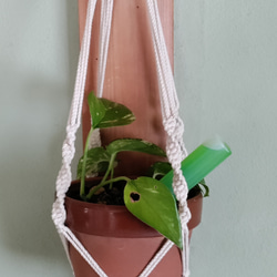 マクラメ編みの花瓶掛け 1枚目の画像