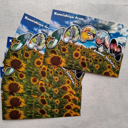 海外に送りたくなるポストカード5枚セット・日本の夏 1枚目の画像