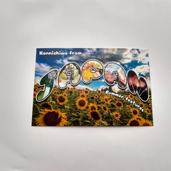 海外に送りたくなるポストカード5枚セット・日本の夏 2枚目の画像
