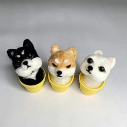 【【サンチャイイーシェン】ウールフェルト鉢植え装飾柴犬の砲段ウールフェルト 1枚目の画像