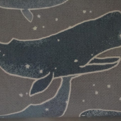 夜空のクジラ ☆ ペンケース.眼鏡ケース　 10枚目の画像