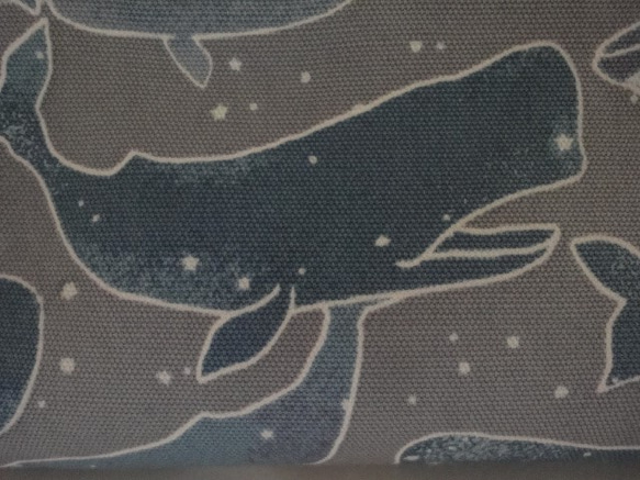 夜空のクジラ ☆ ペンケース.眼鏡ケース　 10枚目の画像