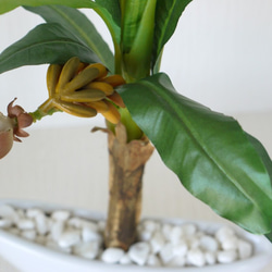 バナナポット 　フェイクグリーン観葉植物！　光触媒加工付き！ 4枚目の画像