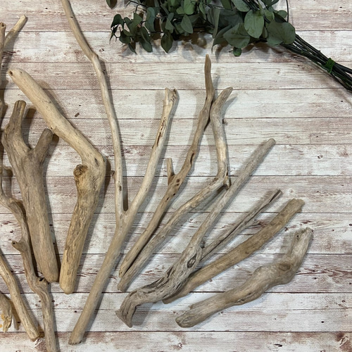 流木クネクネ＋11本 木材・板 QuaGr 