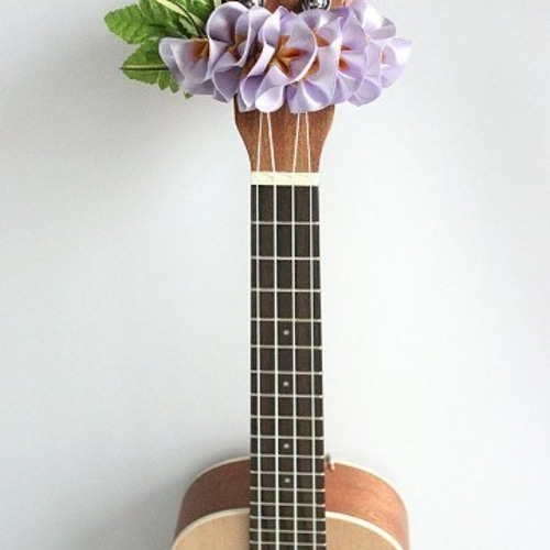 感謝価格❣️Aloha～❣️プルメリア、バラ、ウクレレ夏アレンジ❁⃘*.゜