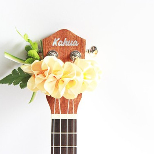 感謝価格❣️Aloha～❣️プルメリア、バラ、ウクレレ夏アレンジ