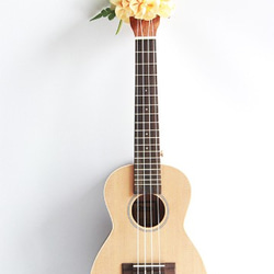尤克里裡絲帶花環夏威夷工藝尤克里裡背帶樂器配件雞蛋花吉他阿羅哈音樂會用 第10張的照片