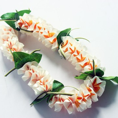 ハワイアンレイ（プルメリア） | フラダンス レイ 祝福の花