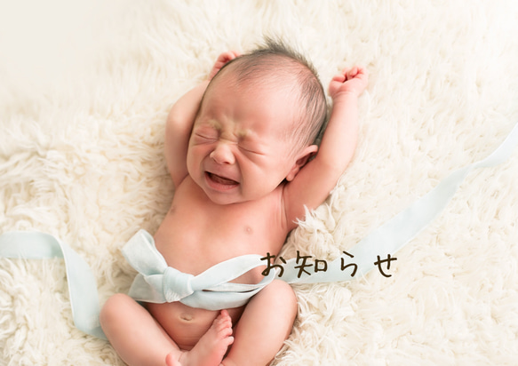 ご購入前に必ず一読ください 1枚目の画像