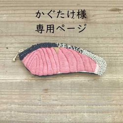 【かぐたけ様オーダー 専用ページ】しゃけの切り身ペンケース 1枚目の画像