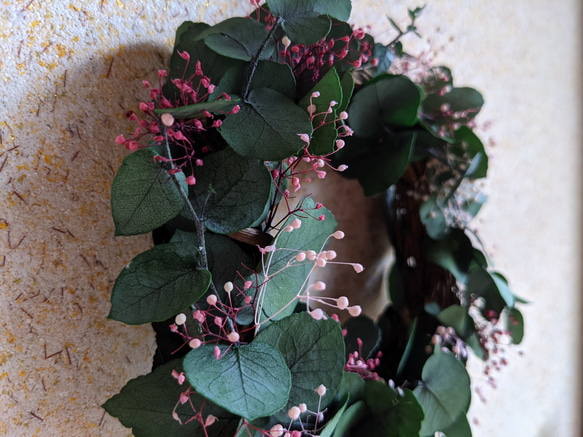 爽やかなユーカリのミニリース 2枚目の画像