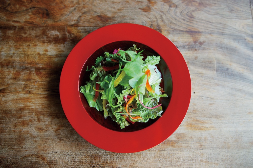 カラーディッシュ  φ21cm【香川漆器/87.5】