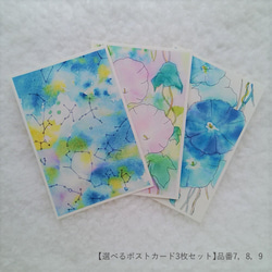 【選べるポストカード3枚セット】7.夏の星座 3枚目の画像