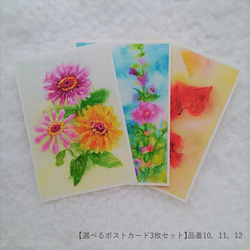 【選べるポストカード3枚セット】11.タチアオイ 3枚目の画像