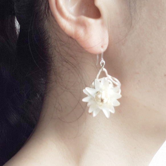 帝王貝細工・白 〜イヤリング／ピアス〜 ピアス（フック