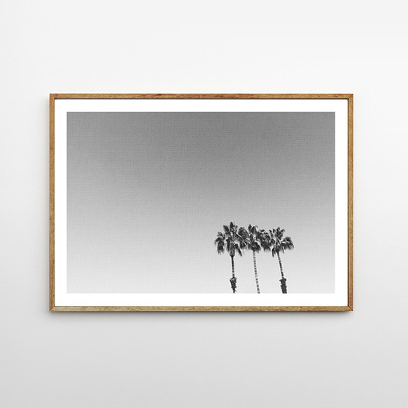 カリフォルニアの空 パームツリー 椰子の木 おしゃれなポスター 1枚目の画像