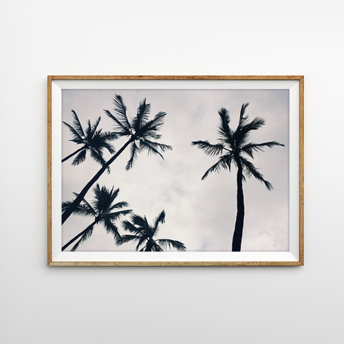 カリフォルニア 椰子の木 パームツリー おしゃれな海外インテリア