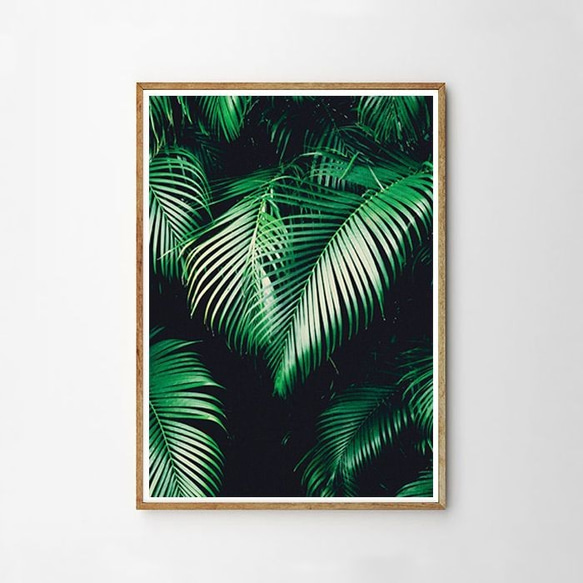Tropical Jungle Plants - トロピカル 植物 ポスター 1枚目の画像