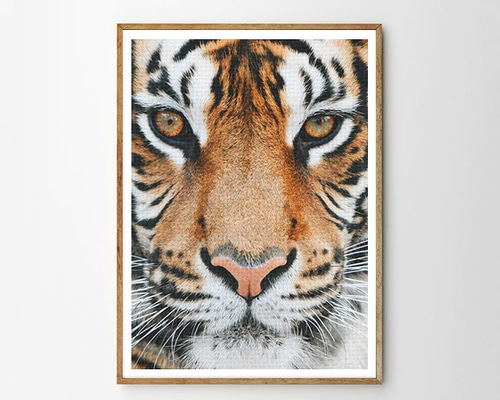 タイガー ☆ TIGER FACE アニマル モノトーン アート 動物