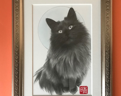 鉛筆画 猫 高級額縁つき 猫の鉛筆画 原画 額付き 絵画 solaris 通販 3106203｜Creema