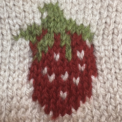 【可訂購】草莓毛衣（適合小型犬/貓/腰圍33）【手工編織】 第4張的照片