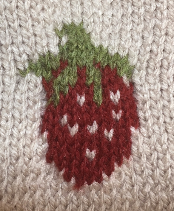 [オーダー可]いちごのセーター（小型犬用・胴回り40）【手編み】 2枚目の画像