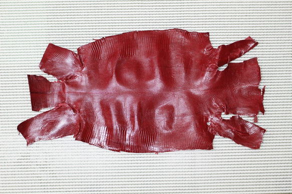 トカゲ（リザード革）赤　※一般的なラウンド型財布が1本分とれるサイズ保障 1枚目の画像