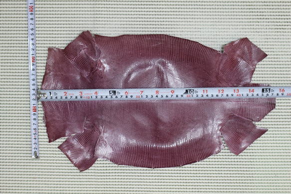 トカゲ（リザード革）パープル※一般的なラウンド型財布が1本分とれるサイズ保障 3枚目の画像