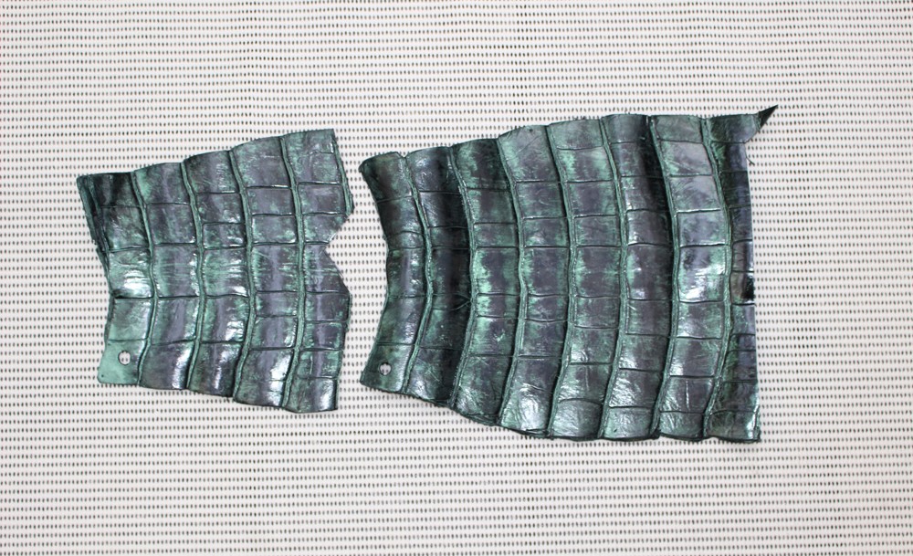 ポロサス（スモール）クロコダイル革 端切れ　（高級皮革）No.Gr002