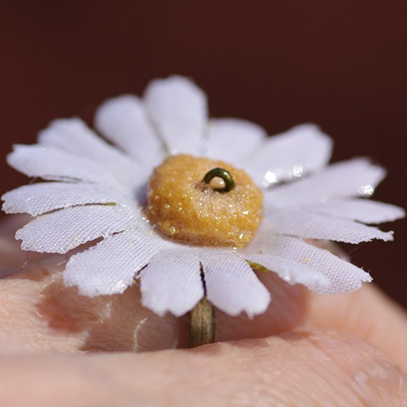 蜜ロウ漬けみたいなマーガレットのリング 3枚目の画像