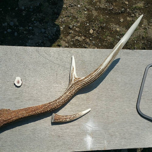 在庫整理価格～ 蝦夷鹿の角 リング 指輪・リング jam 通販｜Creema  