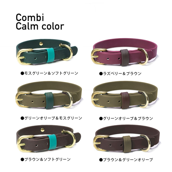 お手入れ簡単 いつも清潔 衛生的な防水素材の小型犬首輪 CombiCalmColor 迷子札プレート 3枚目の画像