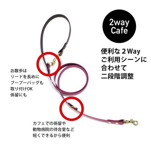 あや　真鍮タグ付き首輪×2 カフェリード×2 ナチュラルヌメ革 再入荷 衛生的に使える防水素材の2WayCafeリード 真鍮ネーム
