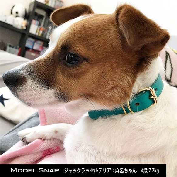 12Color レザーチョーカー 小型〜大型犬 レギュラータイプ15mm 真鍮迷子札プレート付き 6枚目の画像