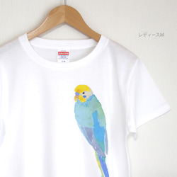 p-jet　セキセイインコ （レインボー） Tシャツ  /  鳥 インコ 1枚目の画像