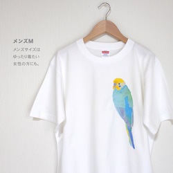 p-jet　セキセイインコ （レインボー） Tシャツ  /  鳥 インコ 5枚目の画像