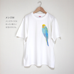 p-jet　セキセイインコ （レインボー） Tシャツ  /  鳥 インコ 6枚目の画像