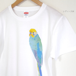 p-jet　セキセイインコ （レインボー） Tシャツ  /  鳥 インコ 3枚目の画像