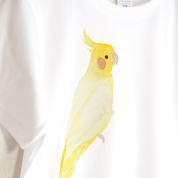 p-jet　オカメインコ （ルチノー）　 Tシャツ　 /  鳥 インコ 2枚目の画像