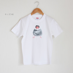 p-jet　桜文鳥 Tシャツ キッズサイズ　/　親子コーデ　リンクコーデ　お揃い　子供 　/ 鳥　文鳥 1枚目の画像