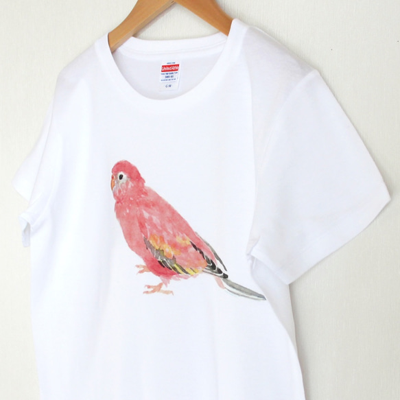 p-jet　アキクサインコ  Tシャツ　 / 鳥 インコ 3枚目の画像