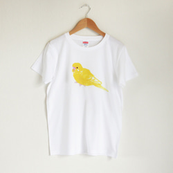 p-jet　ほわっとした セキセイインコ ルチノー  Tシャツ　 / 鳥 2枚目の画像