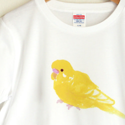 p-jet　ほわっとした セキセイインコ ルチノー  Tシャツ　 / 鳥 3枚目の画像